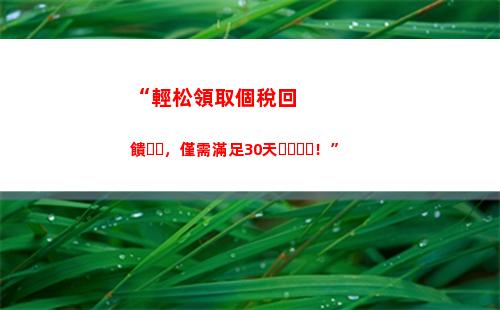 個人所得稅appl(個人所得稅怎么報稅)